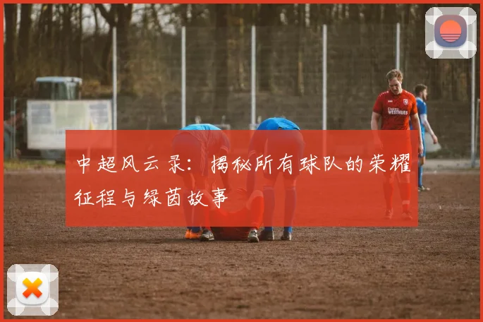 中超风云录:揭秘所有球队的荣耀征程与绿茵故事