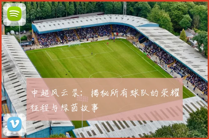 中超风云录:揭秘所有球队的荣耀征程与绿茵故事